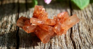 Aragonite Star Clusters